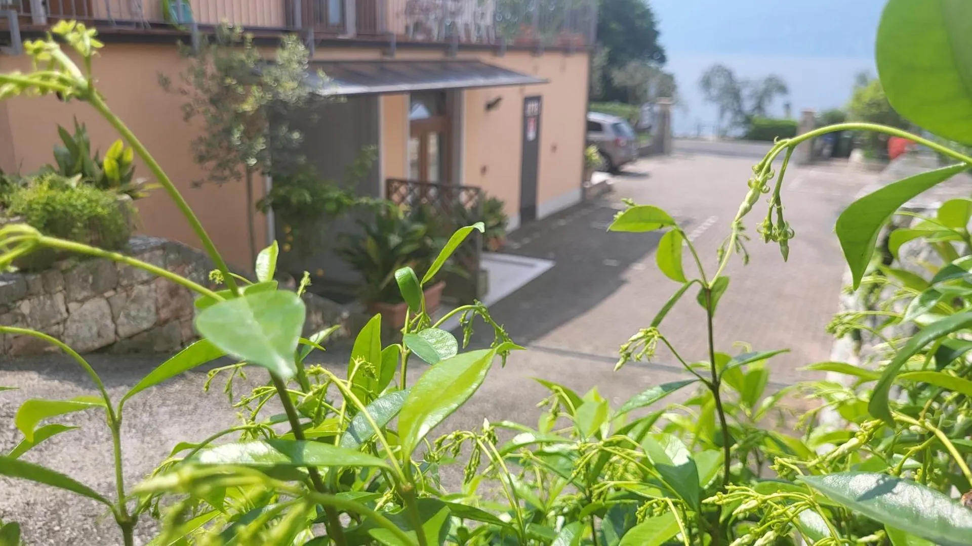 Residence Villa Margherita Brenzone sul Garda 3*,