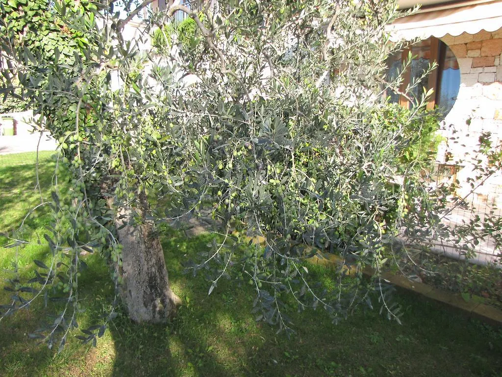 Residence Villa Margherita Brenzone sul Garda Aparthotel